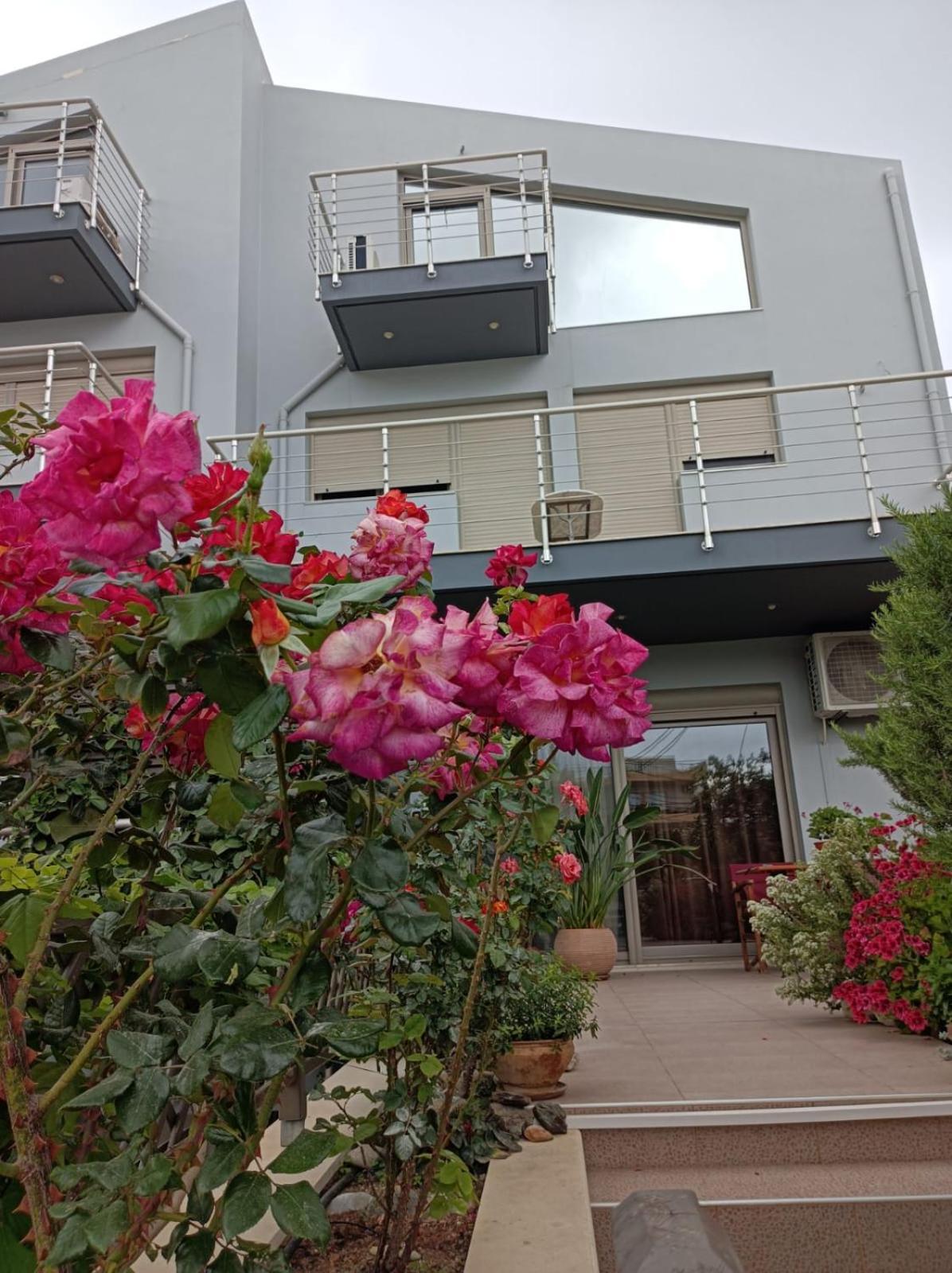 شقة Rose كاندية المظهر الخارجي الصورة